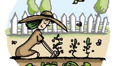 découvrez les secrets d'un potager luxuriant avec des conseils pratiques pour cultiver vos propres légumes frais à la maison. transformez votre jardin en un espace verdoyant et productif !