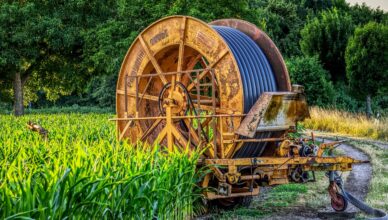 découvrez notre système d'irrigation automatique, une solution innovante pour optimiser l'arrosage de vos plantations. économisez de l'eau, gagnez du temps et assurez une croissance saine de vos plantes grâce à une gestion intelligente et personnalisable de l'irrigation.